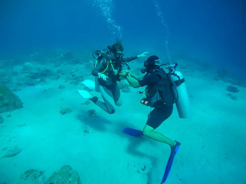 Exploration Plongée près de Canet-en-Roussillon