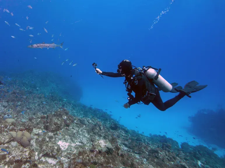 Formation FFESM près de Canet-en-Roussillon
