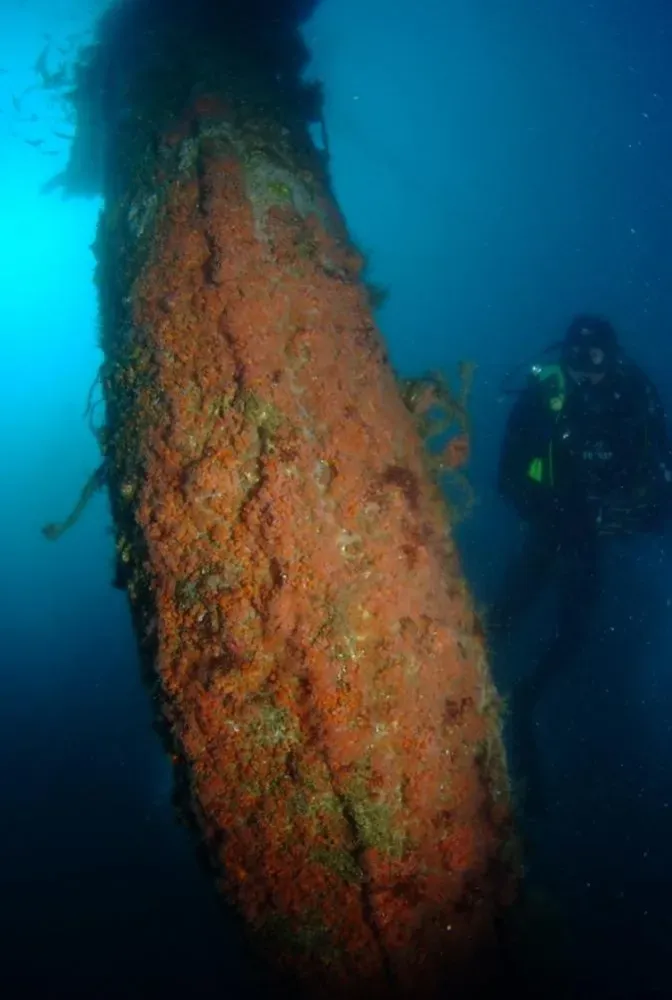 Le poulpe explorations (7)