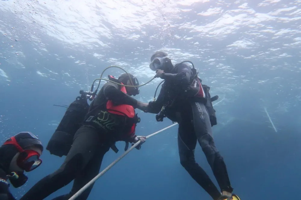 Formation encadrant (9)