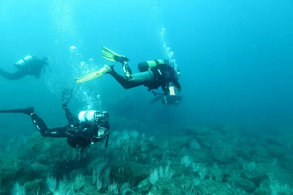 Formation encadrant (18)